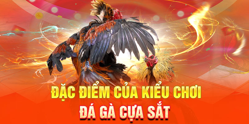 Đặc điểm của kiểu chơi đá gà với cựa sắt