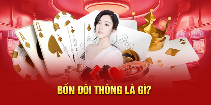 Tìm hiểu về 4 đôi thông là gì?